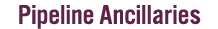 Pipeline Ancillaries